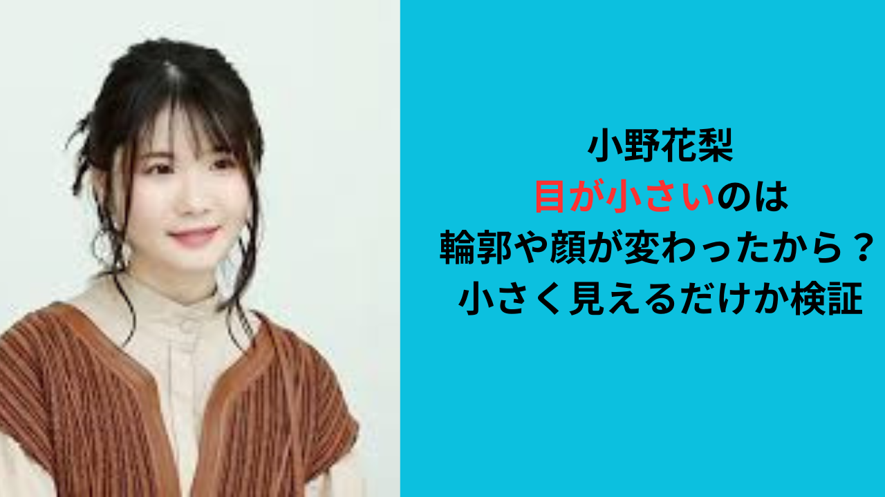 【小野花梨の目が小さい】輪郭や顔が変わった？小さく見えるだけか検証